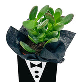 Mini Bond Box